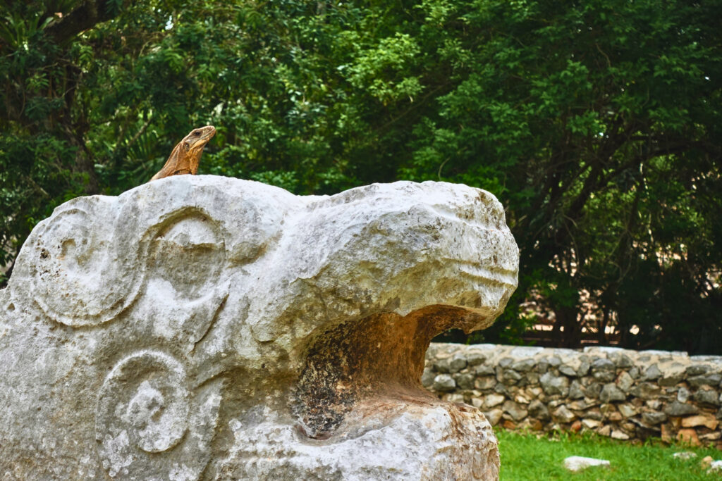 Eidechse sitzt auf einer Skulptur in Chichén Itzá