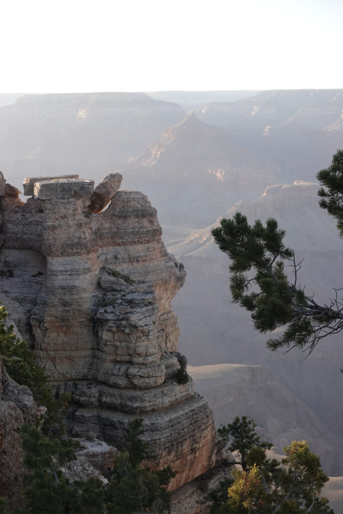 View into the Grand Canyon